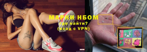 PSILOCYBIN Волосово