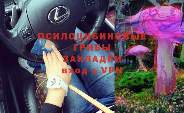 гидра Сясьстрой
