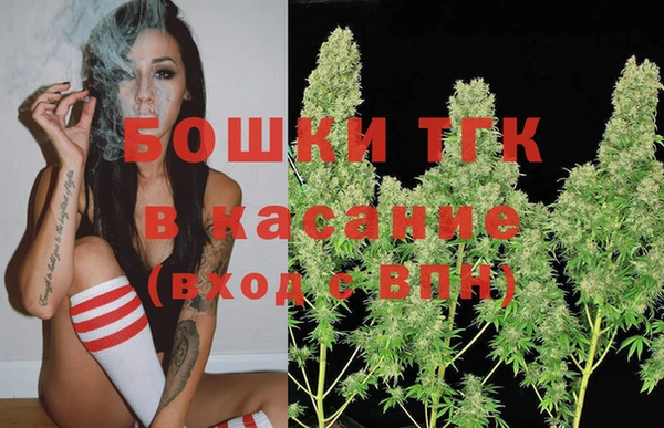 дживик Липки
