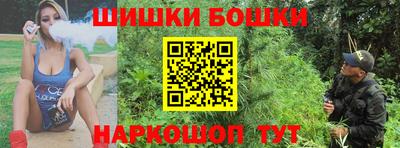 молекула духа Будённовск