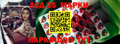 молекула духа Будённовск