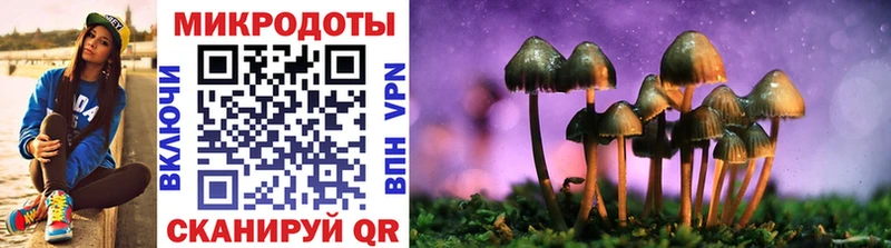 закладки Саратов Псилоцибиновые грибы мицелий
