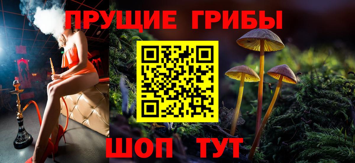 Саратов  Галлюциногенные грибы Psilocybe  Псилоцибиновые грибы GOLDEN TEACHER  Вход с VPN 