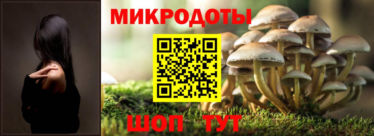 Псилоцибиновые грибы MAGIC MUSHROOMS  наркошоп  Галлюциногенные грибы мухоморы  Саратов 