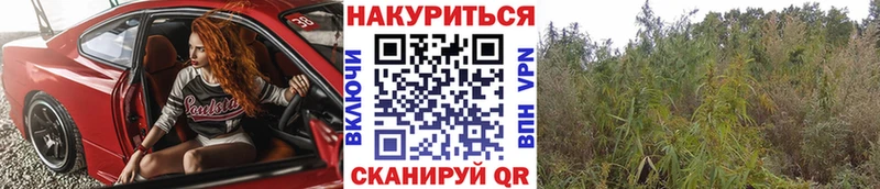 как найти наркотики Саратов Каннабис план